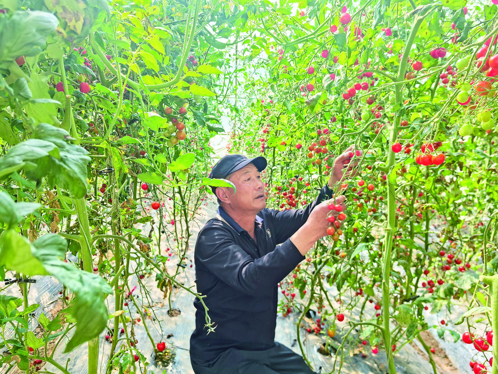 QQ�DƬ20240905061700