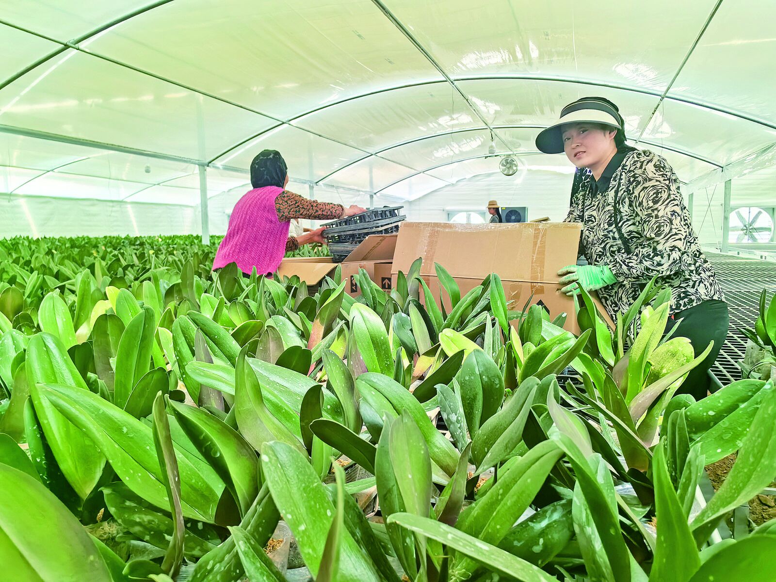 QQ�DƬ20240905062527