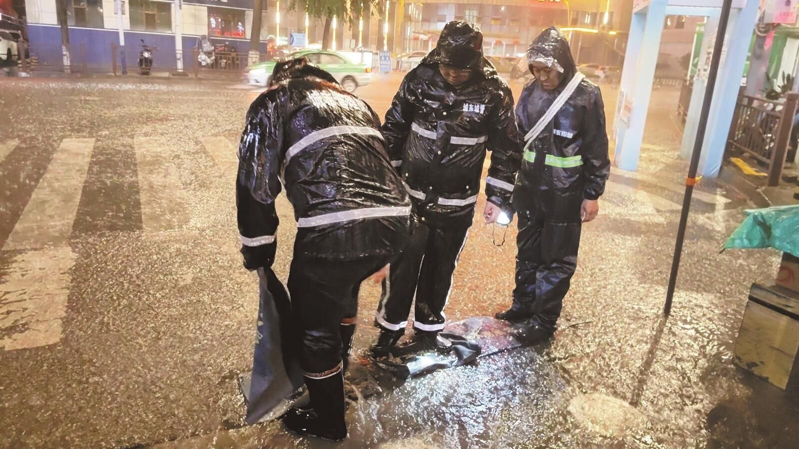 QQ�DƬ20240905064530