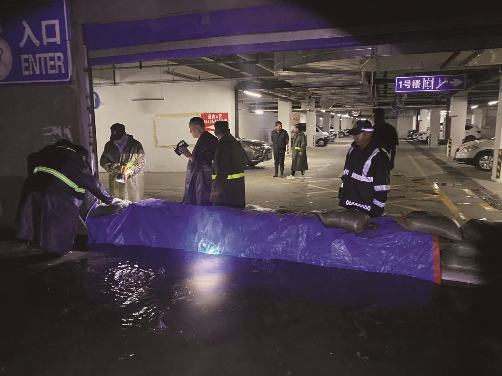 QQ�DƬ20240905064537