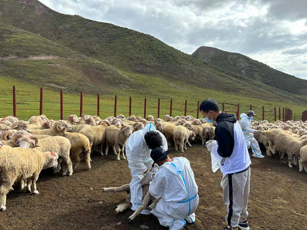 ΢�ňDƬ_20240906153446_����