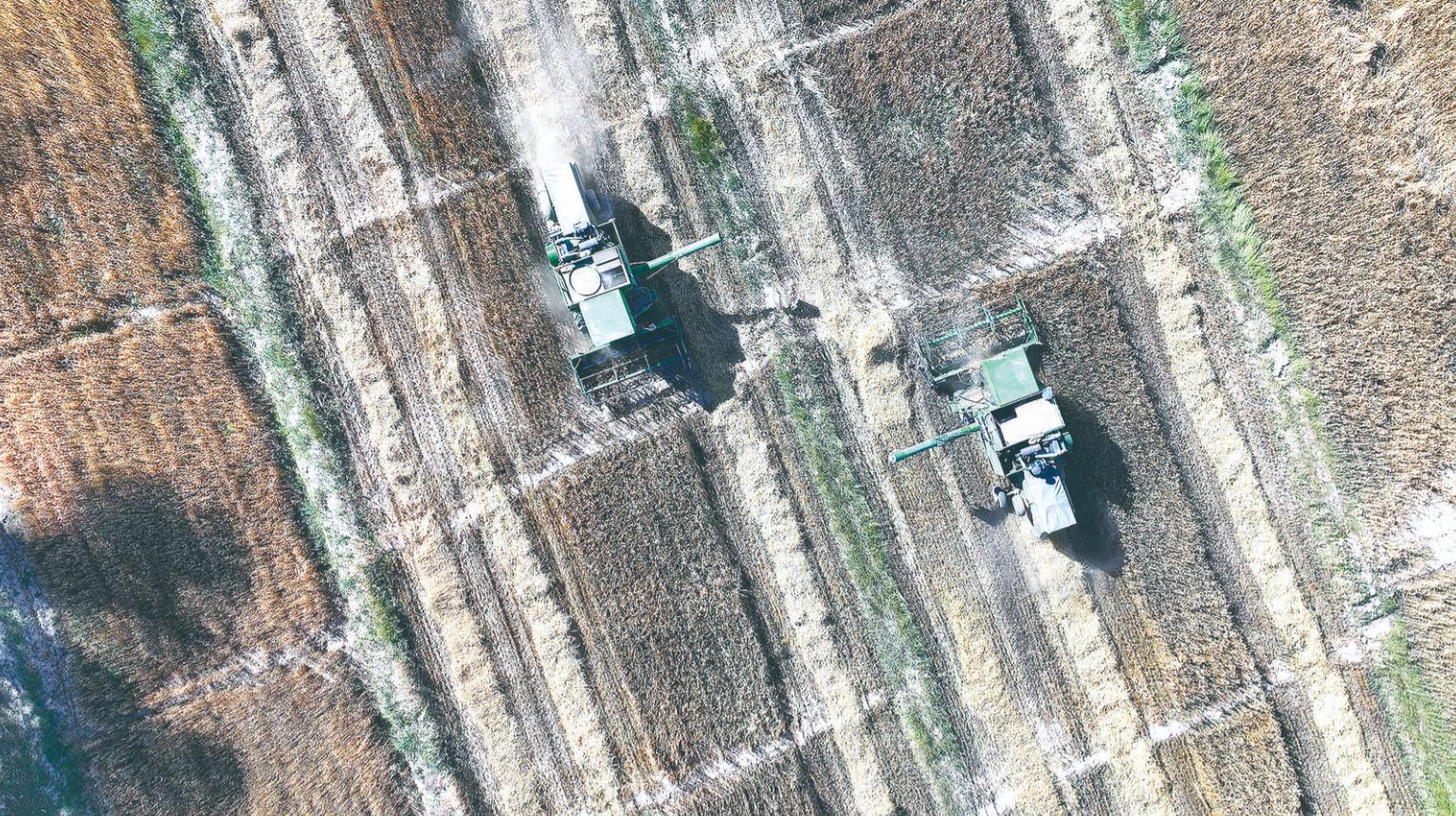 �ຣ�������Cе�Z�Q��푿������(zh��n)����������