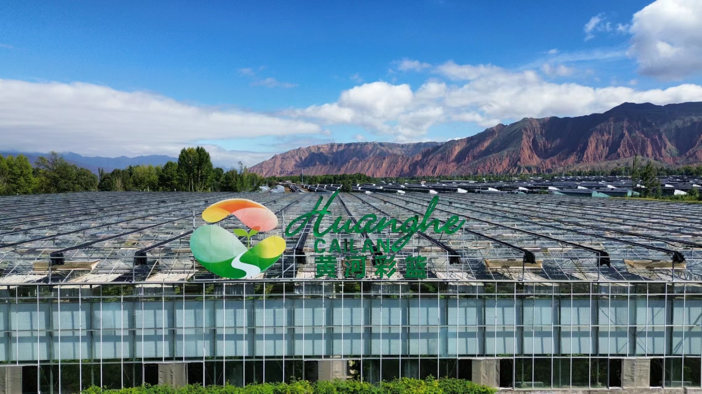 ΢�ňDƬ_20240912131333