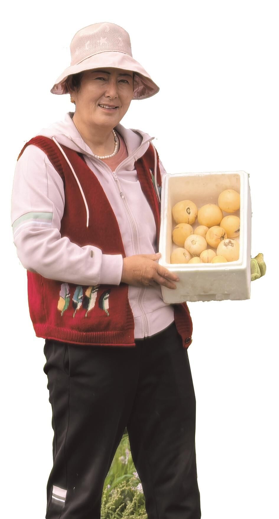 QQ�DƬ20240913062531