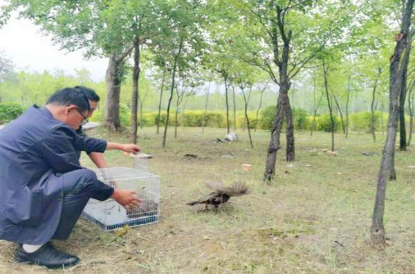 ΢�ňDƬ_20240913205547_����