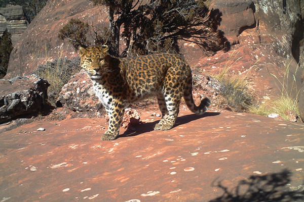 ΢�ňDƬ_20240926163357_����