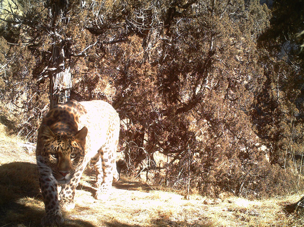 ΢�ňDƬ_20240926163352_����