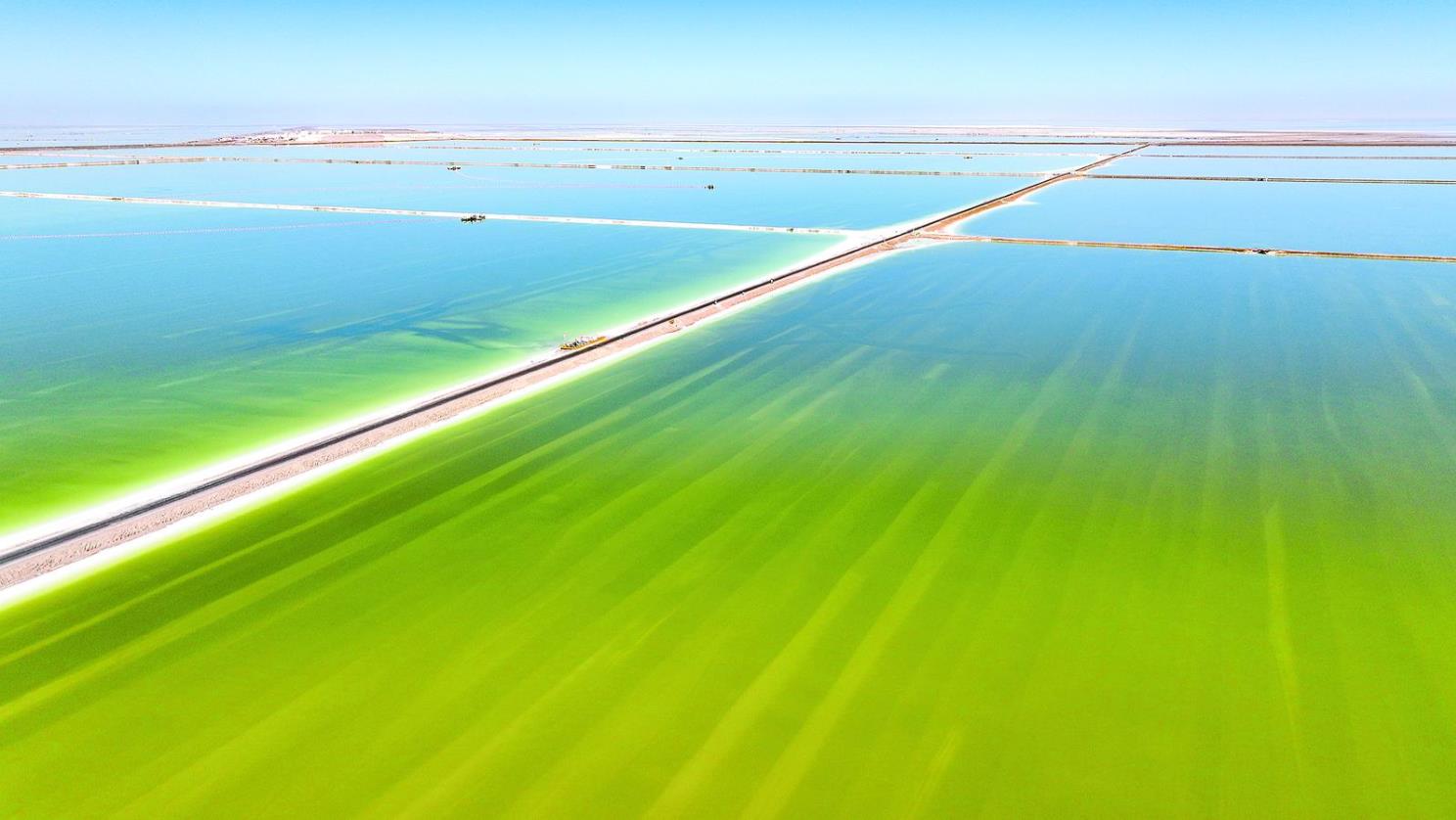 �ຣ������M���缉�}���a�I���ؽ��O�����M�}���a�I���|���lչ���������ຣʡ�}���a�I���|���lչ���M�l�������x