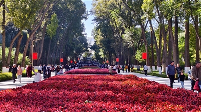 ���c��������6�f�����Έ@�p��