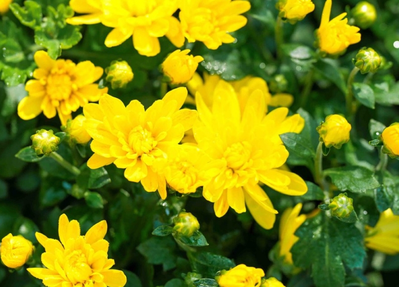 �@�G������Ұ������@��վ`��