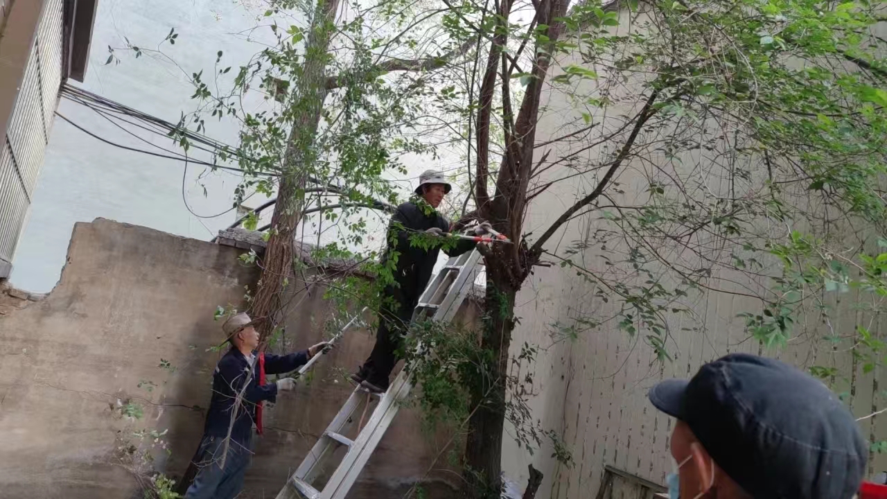 ΢�ňDƬ_20241007165435