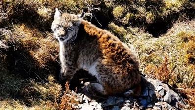 �������˲�g׌���B(t��i)֮���Wҫ��ԭ