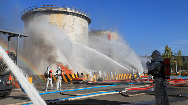 IMG_2571 - ���� - ����_����