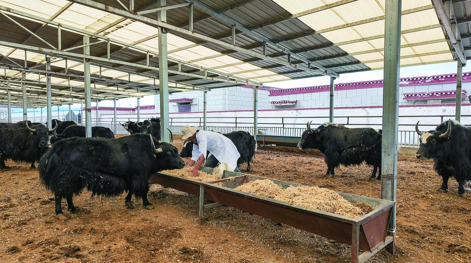 360�؈D20241014082346553