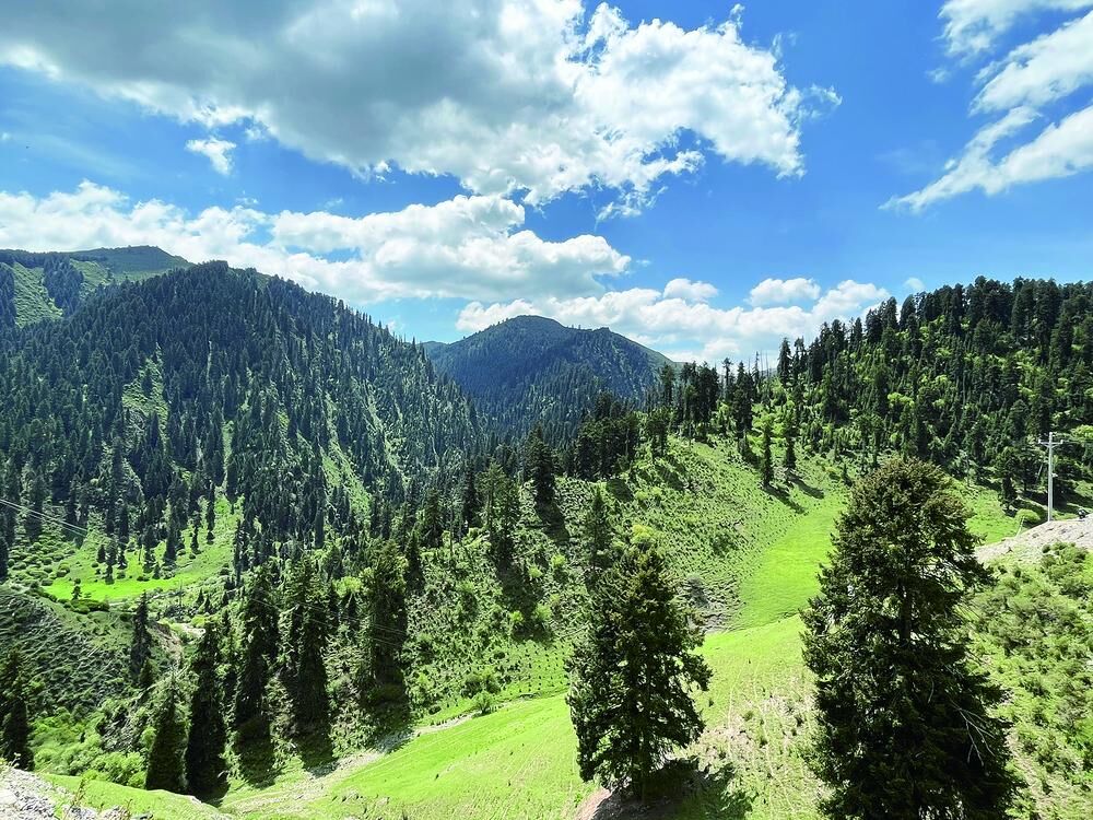 QQ�DƬ20241015060050