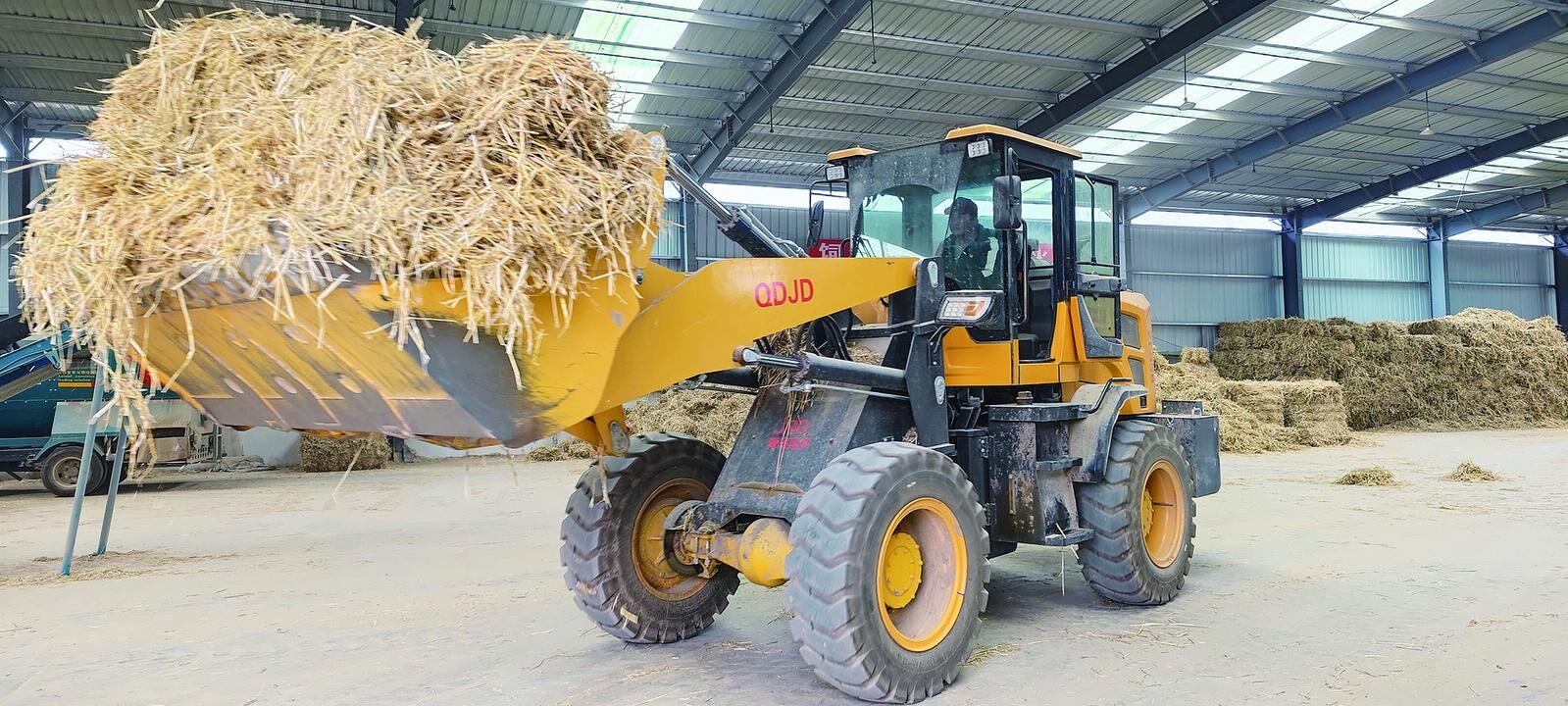 QQ�DƬ20241015061751