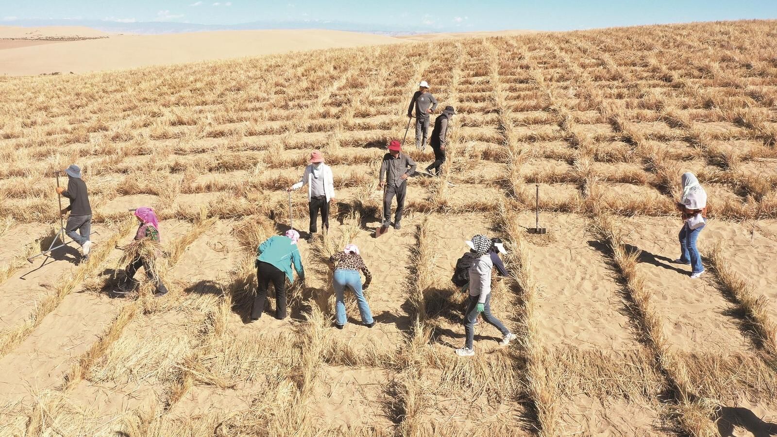 QQ�DƬ20241015063009