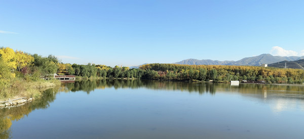 ΢�ňDƬ_20241015090549