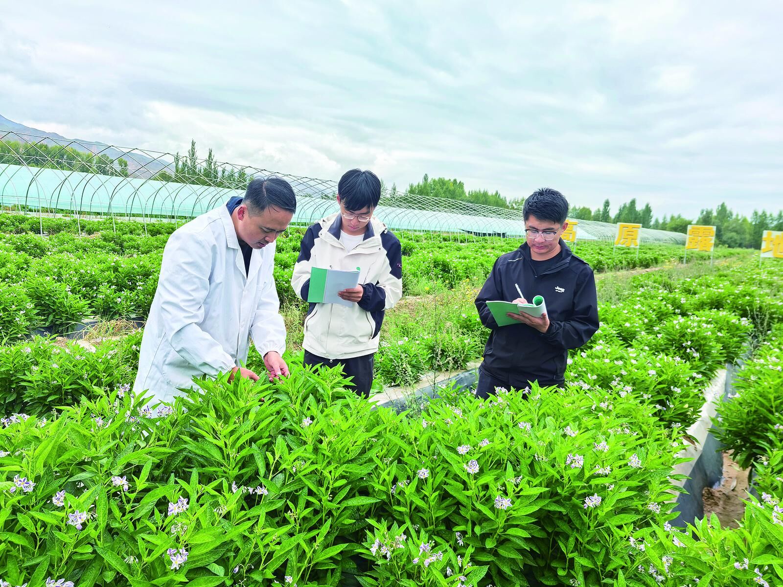 QQ�DƬ20241017061841