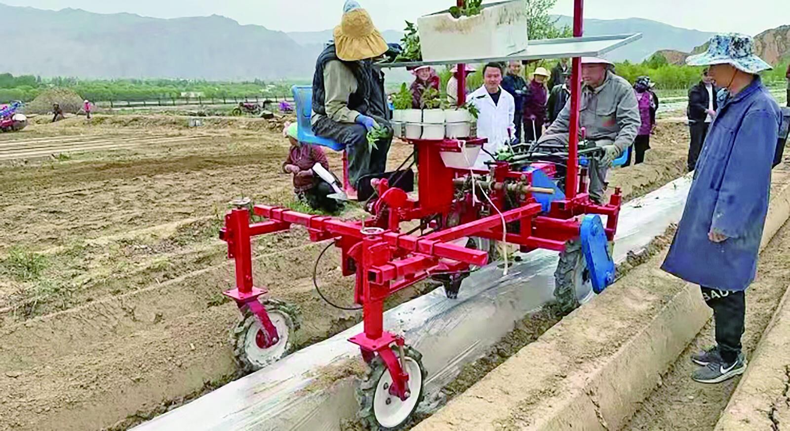 QQ�DƬ20241017061855