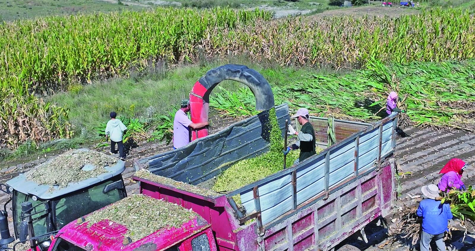 QQ�DƬ20241017061909