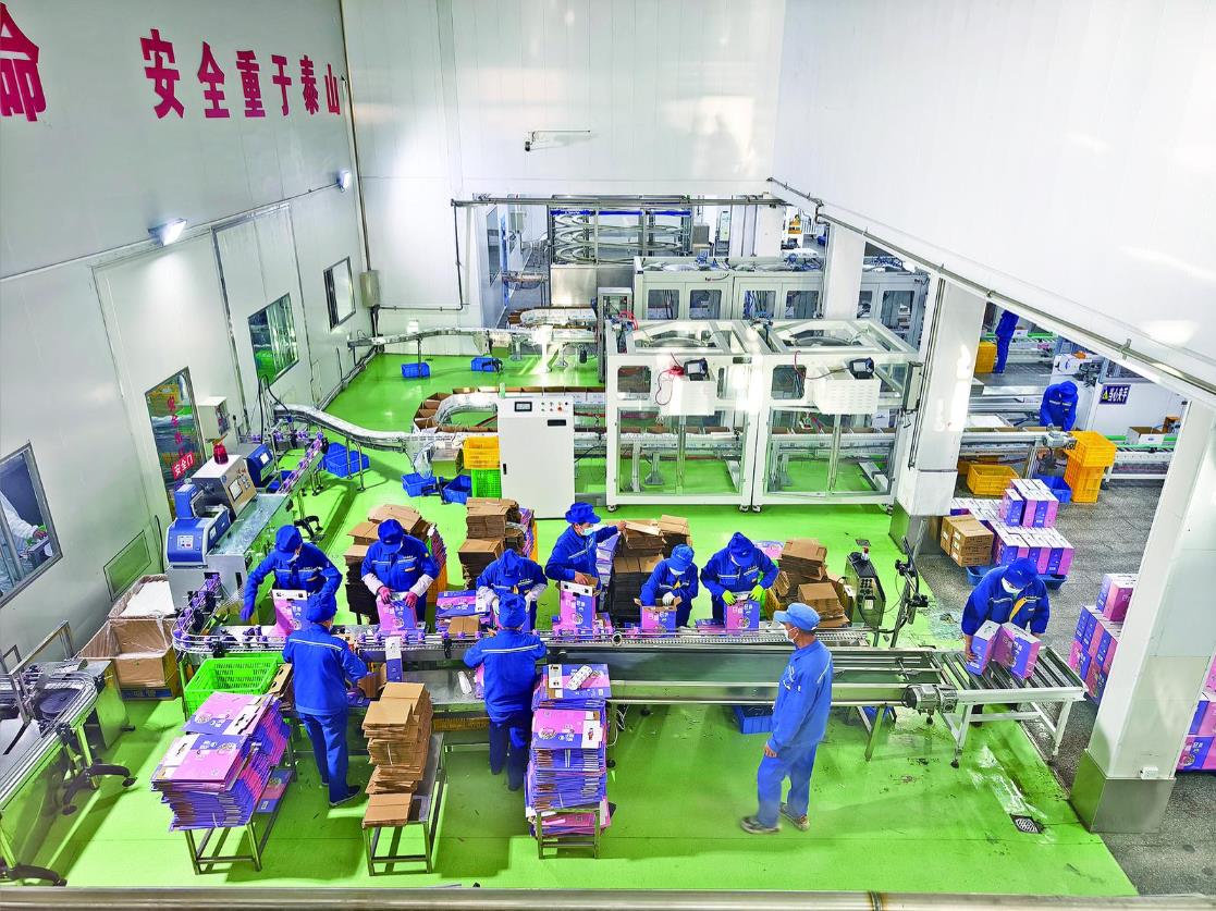 海北州金祁連乳業生產忙