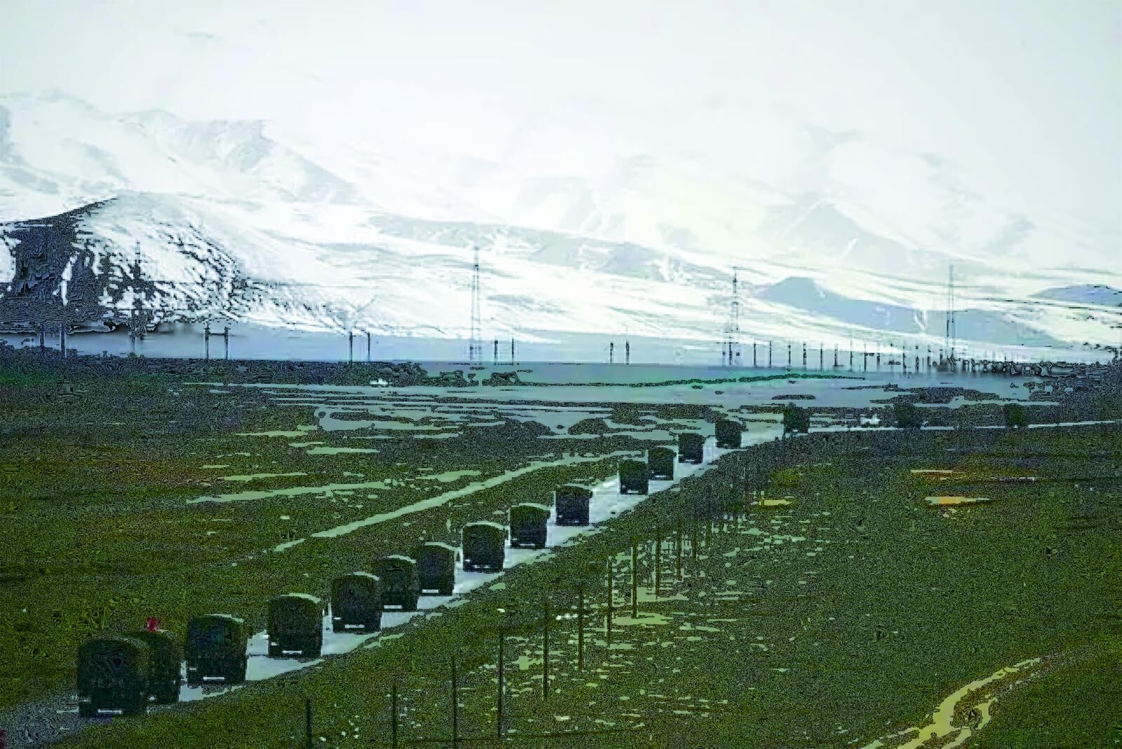 QQ�DƬ20241025060738