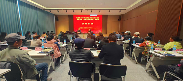 ΢�ňDƬ_20241025131613_����