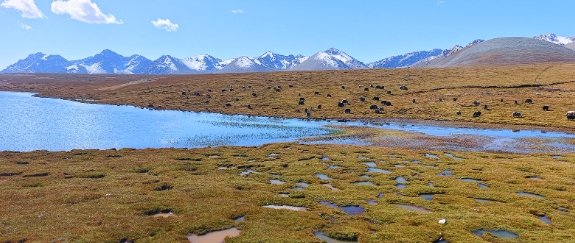 ΢�Ž؈D_20241028062041