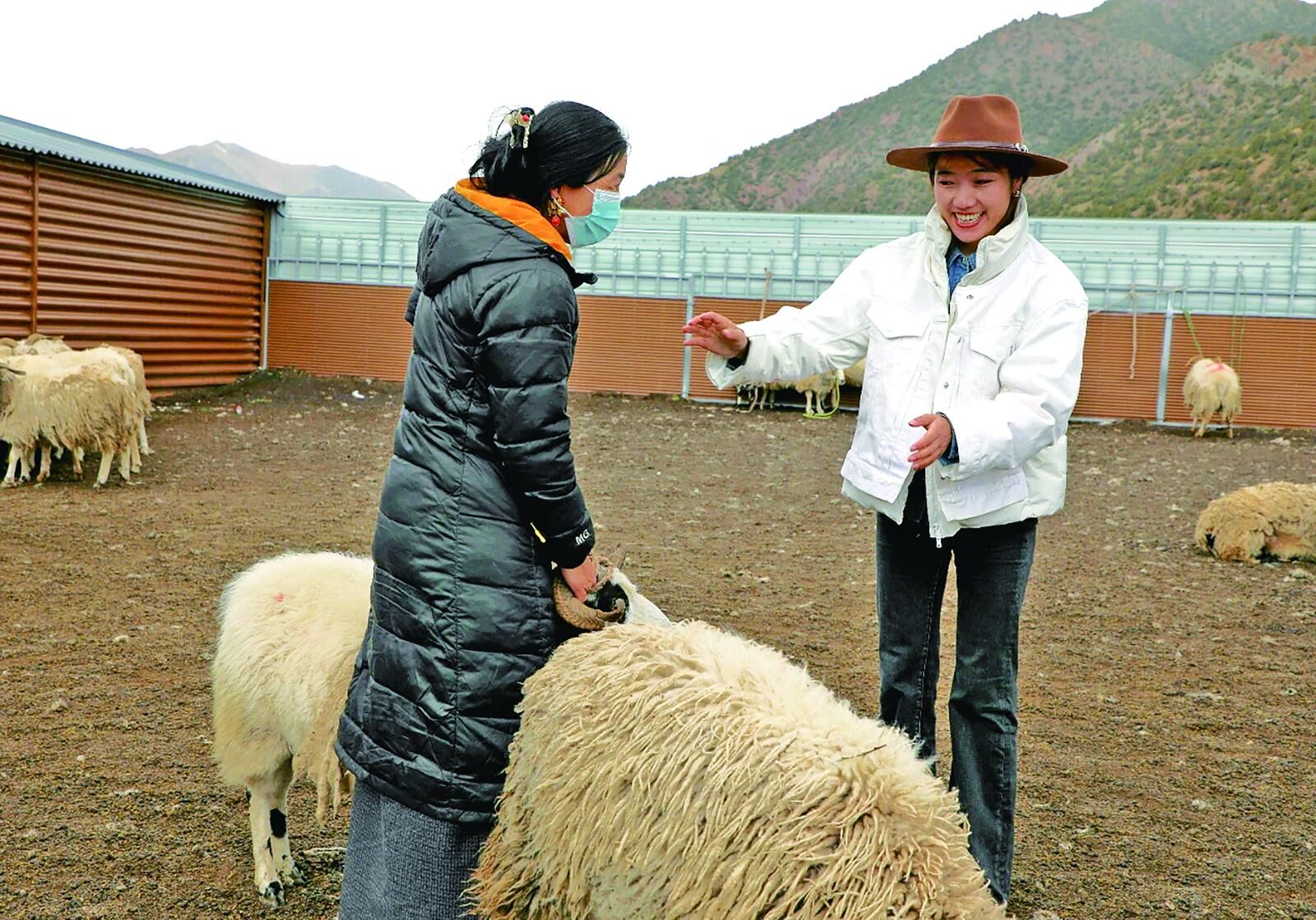 ���l�����d���ຣ������a�I����l�����d�¡����衱