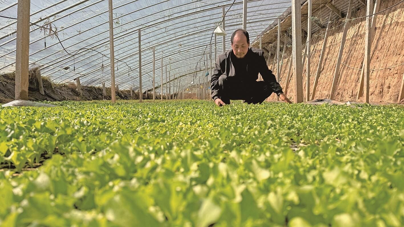 QQ�DƬ20241029062620