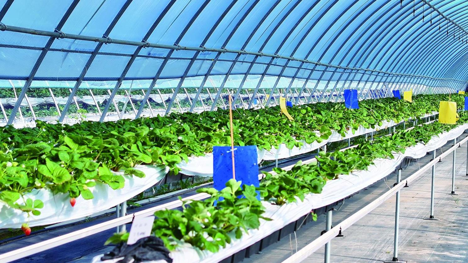 ���r(sh��)�� ������ ���I(y��)�����|(zh��)���l(f��)չ�{(di��o)���С�������ݮ�ġ��Ǹ����h(yu��n)�����������M(j��n)�������l(f��)չ��һ�����¡���