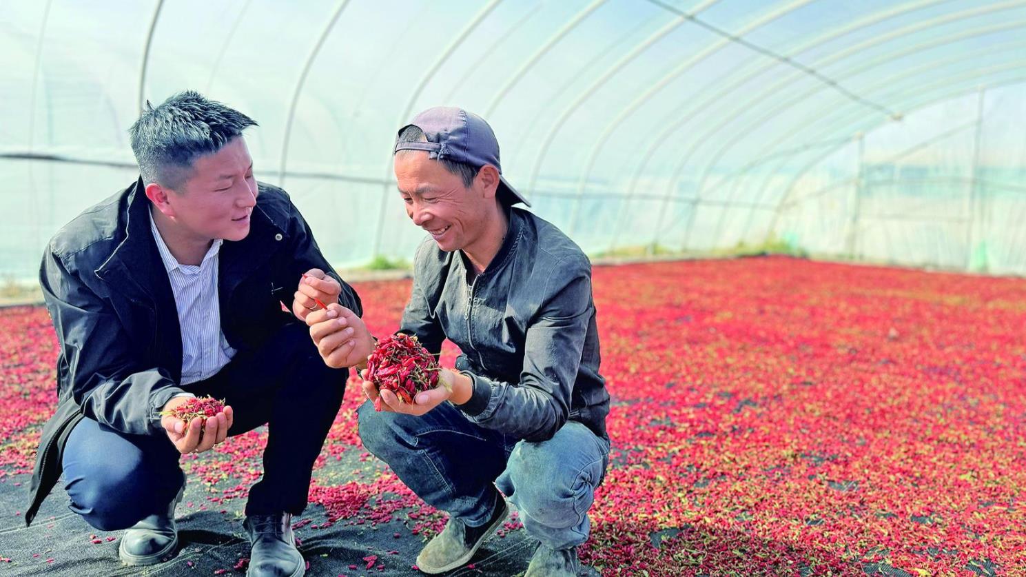 ���r(n��ng)�¡��������m���������� ���ϲ�@�S��