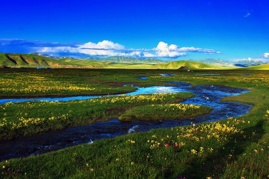 ΢�ňDƬ_20241101103408