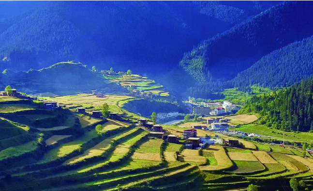 【生態(tài)觀察】“綠色”班瑪 生態(tài)凈美