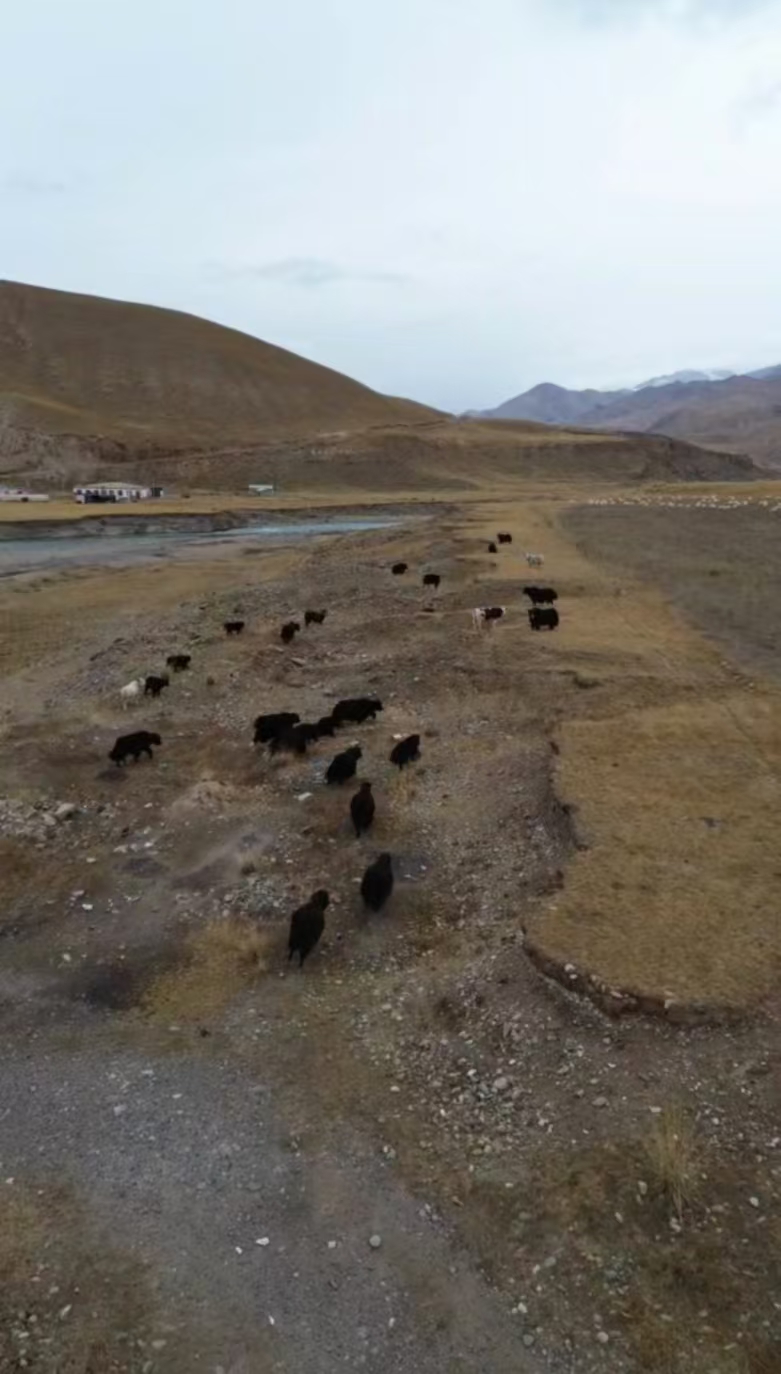 ΢�ňDƬ_20241105162026