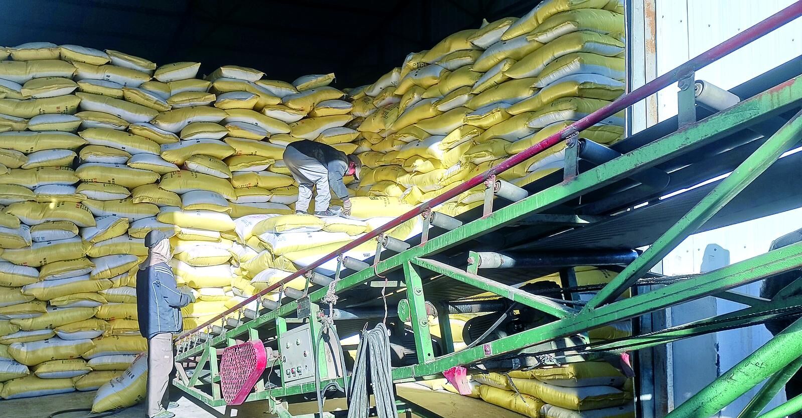 QQ�DƬ20241106061330