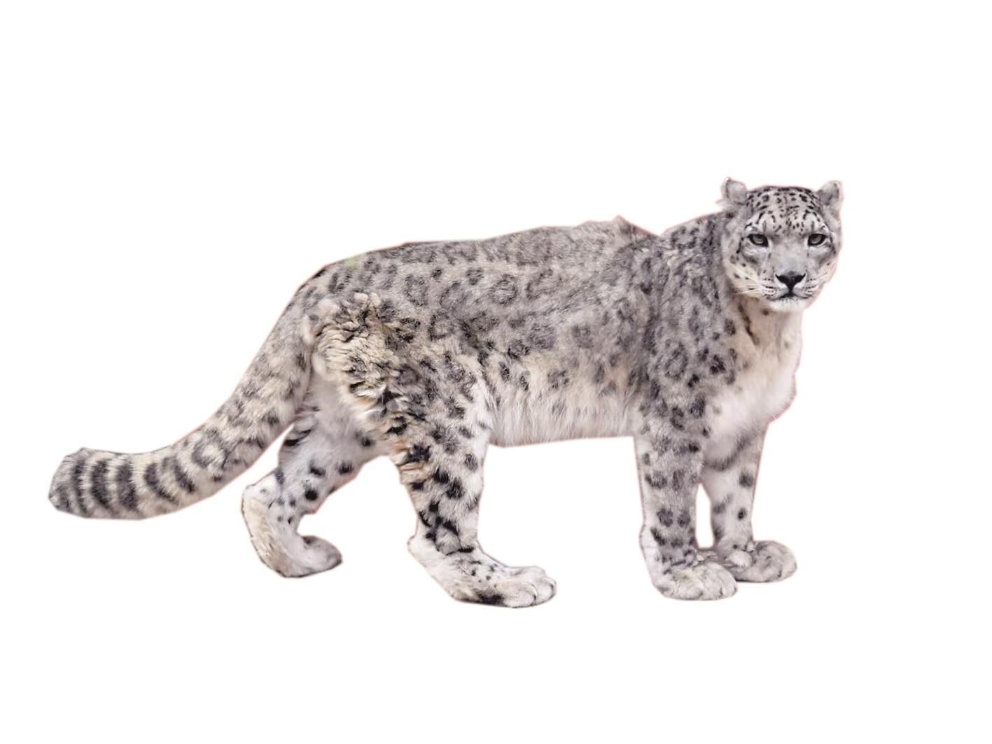 QQ�DƬ20241106063301