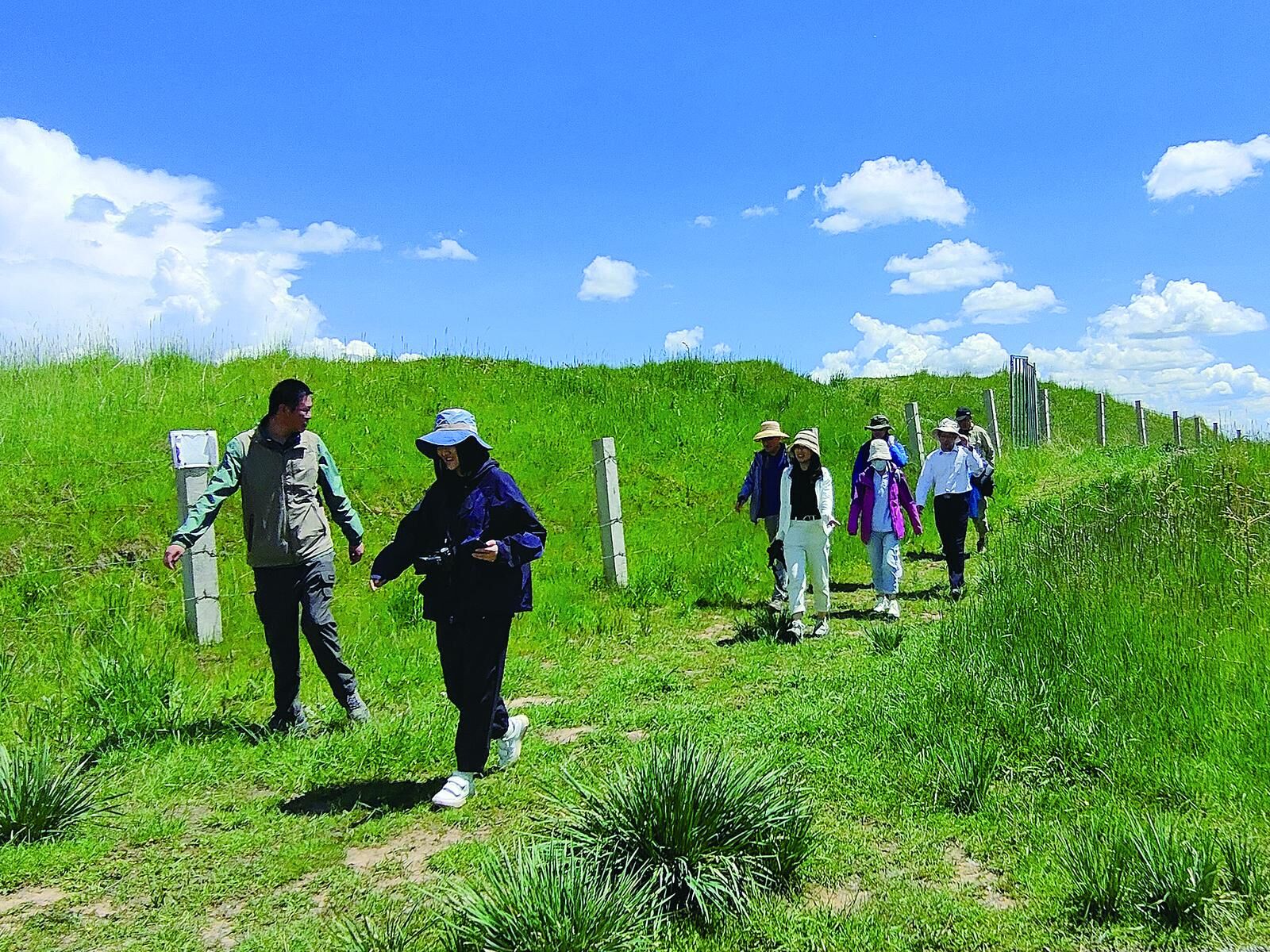 QQ�DƬ20241108064234