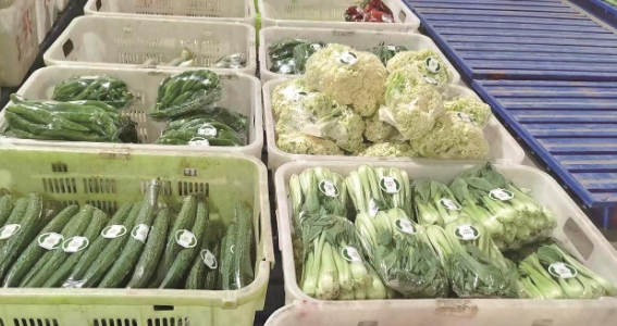 【牢記囑托 實干篤行——秋行海東看發展】一桌蔬菜“拼盤”隨便湊齊 樂都“菜籃子”里裝著42個菜品