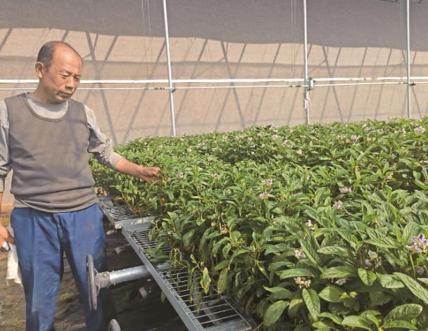 ΢�Ž؈D_20241111071846