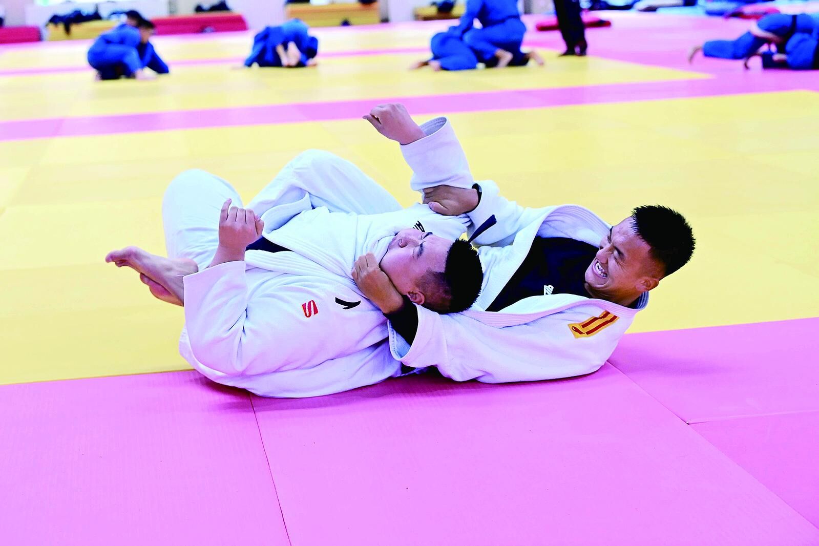 QQ�DƬ20241114060301