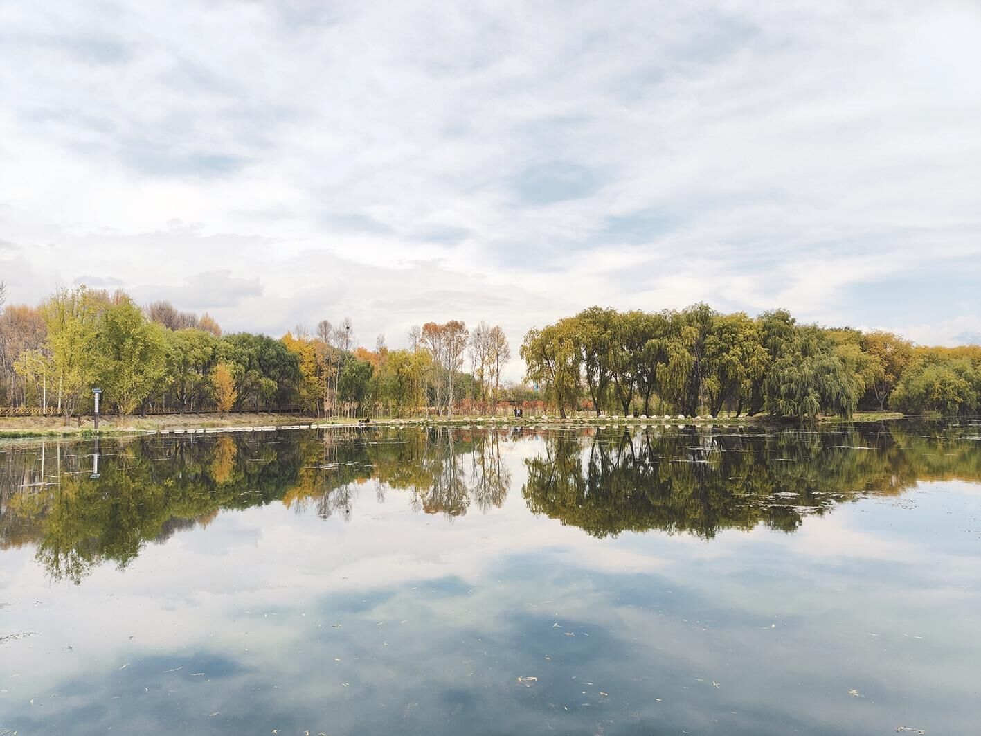 【牢記囑托 實干篤行——秋行海南看發展】蘆花灣的美麗變身