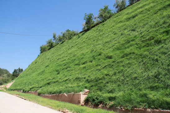 ΢�ňDƬ_20241115100355