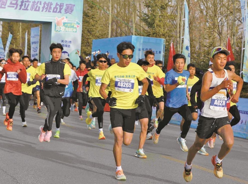 ΢�Ž؈D_20241118070028