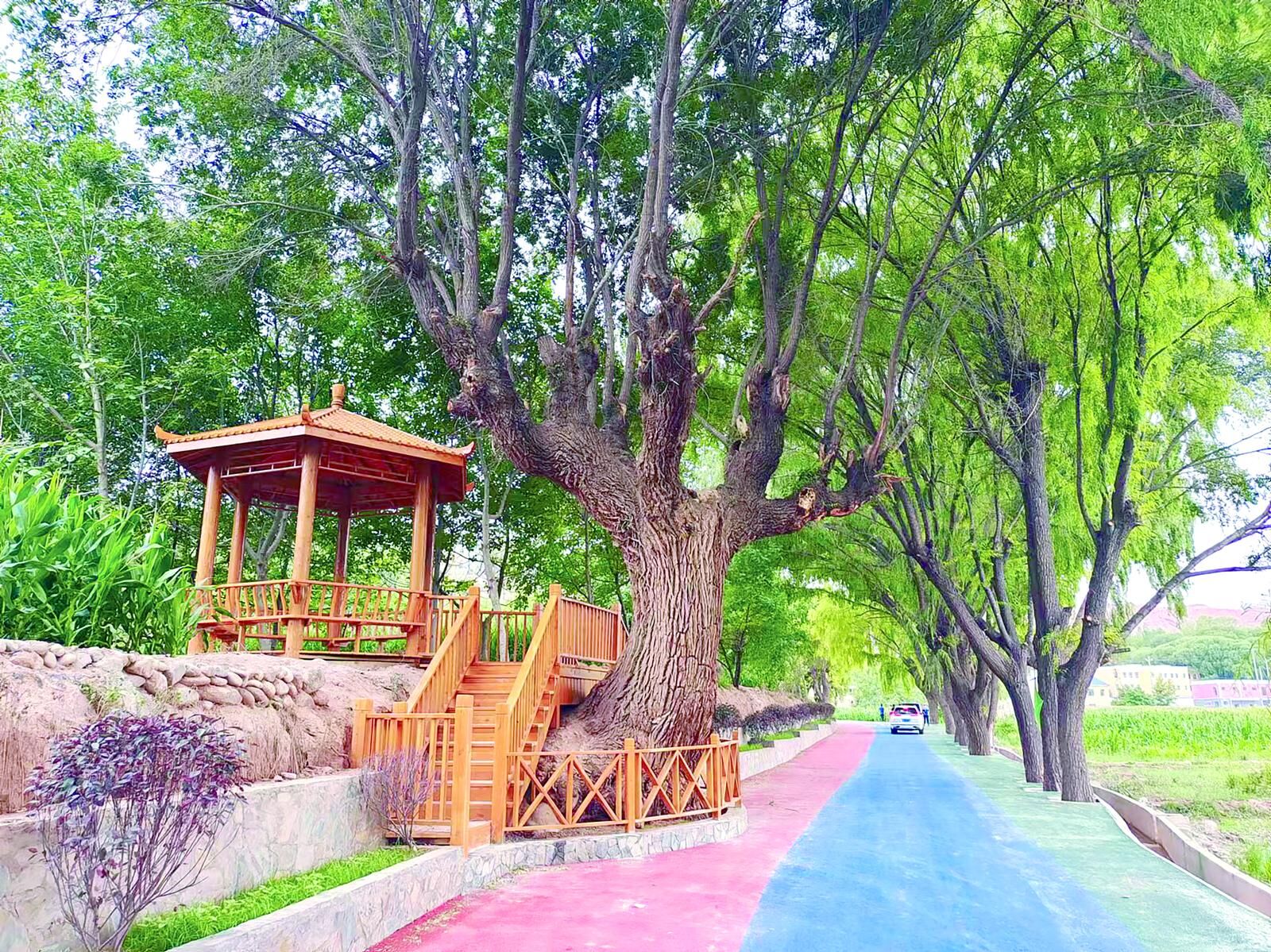 QQ�DƬ20241120054318