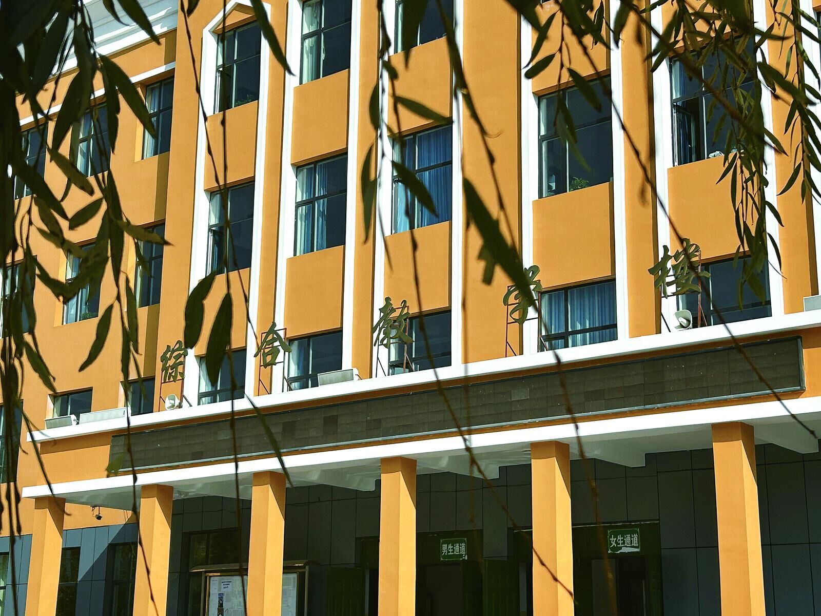 QQ�DƬ20241122061422