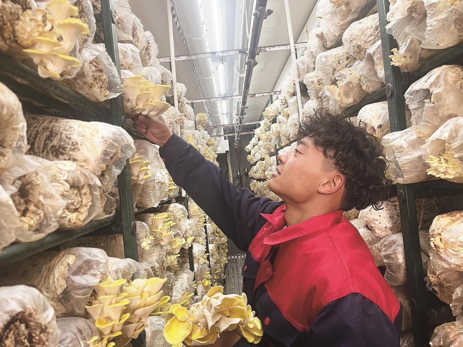 ���桰���ܷ����L�����SĢ 14���ǻ۷�œ��a�r��420��