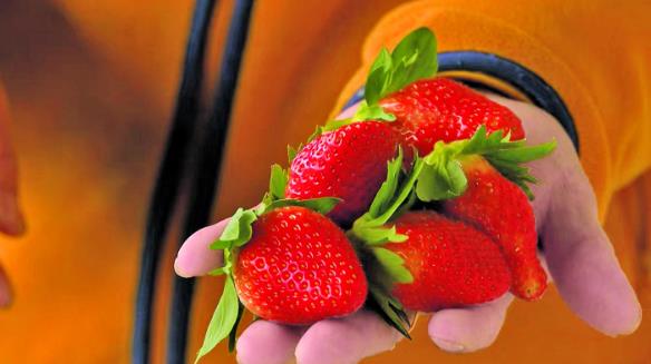 �ຣ��ͨ���஀��ݮ��m����