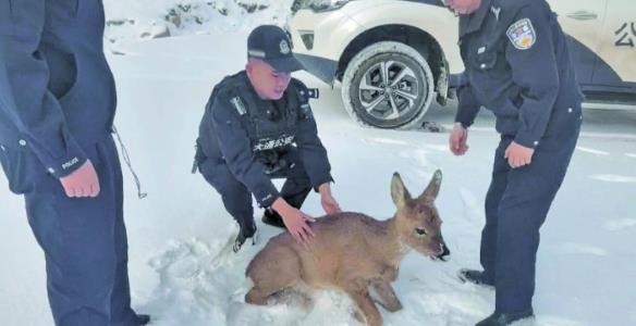 ��¹�`���r�� ���������Św